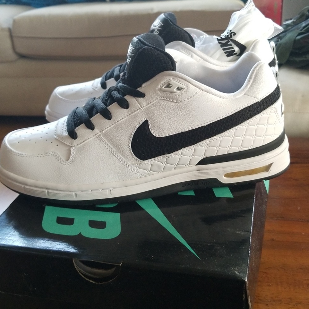 Nike SB Dunk Low . Brand new. P Rod